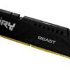 Kingston Fury Beast