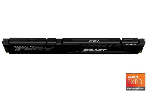 Kingston Fury Beast
